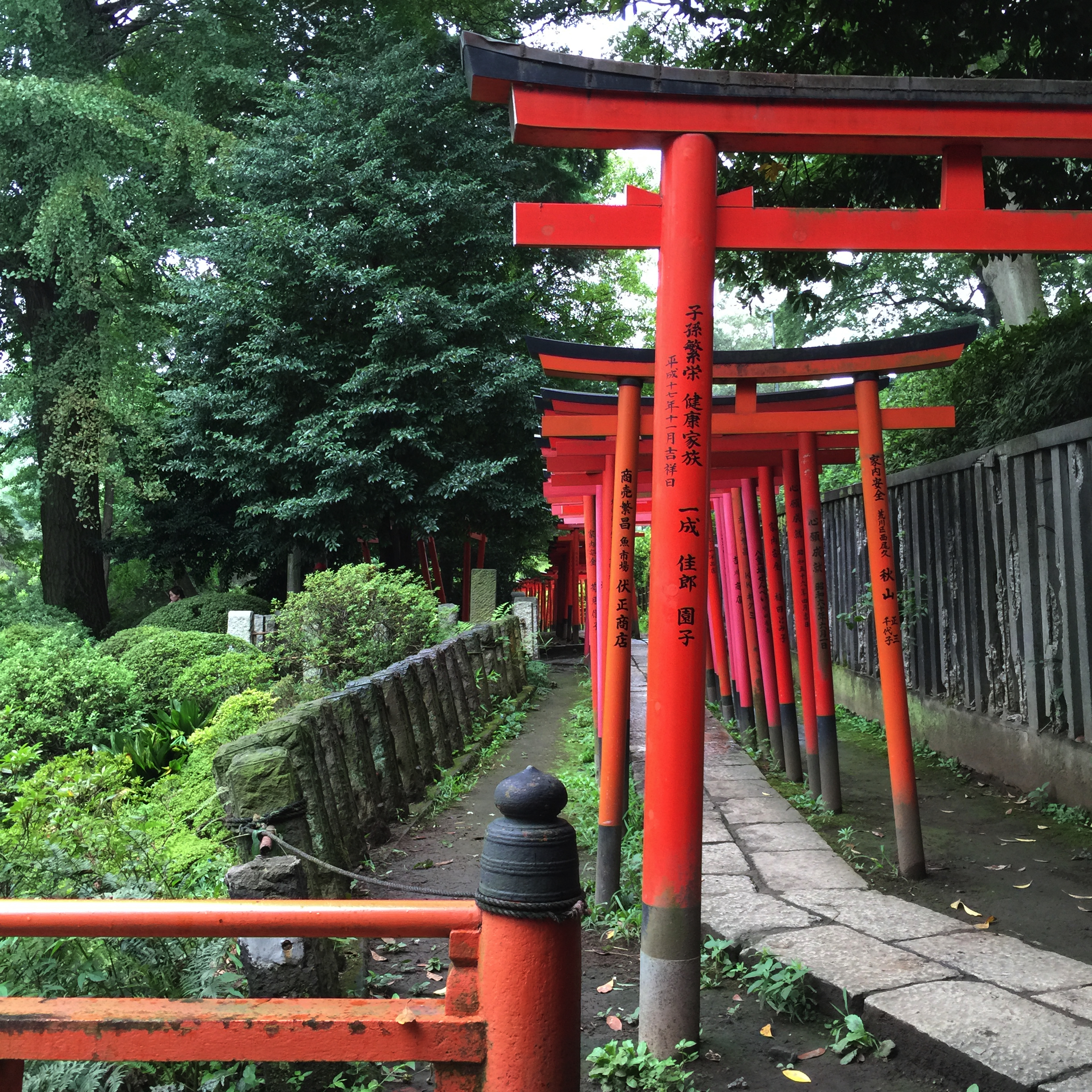 根津神社：スケッチ場所